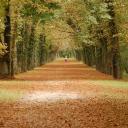 Eén van de vele lanen bij het kasteel waar je heerlijk kan wandelen